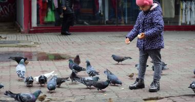 Stire din Social : Frig, vânt și ploi, în weekend, la Constanța
