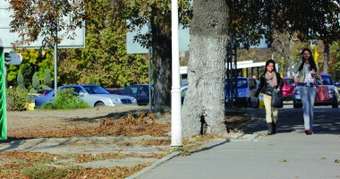 Stire din Social : ANM. Cum va fi vremea în următoarele două săptămâni, în Dobrogea