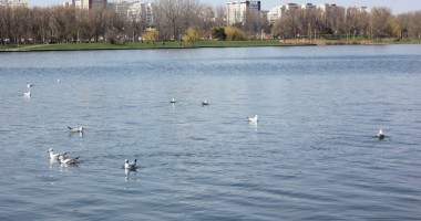Stire din Social : ANM. Cum va fi vremea astăzi, la Constanța
