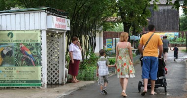 Stire din Social : Cum va fi vremea astăzi, la Constanța