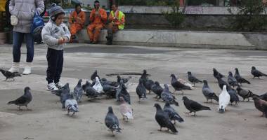 Stire din Social : Cum va fi vremea mâine, la Constanța
