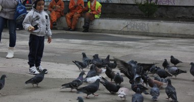 Stire din Social : Cum va fi vremea astăzi, la Constanța