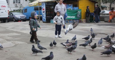Stire din Social : Cum va fi vremea astăzi, la Constanța