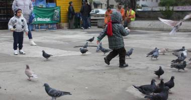 Stire din Social : Se răcește vremea. Vânt puternic și temperaturi în scădere, la Constanța