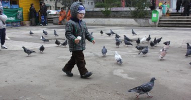 Stire din Social : Cum va fi vremea astăzi, la Constanța