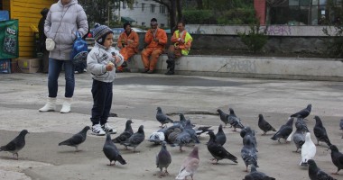 Stire din Social : Vremea se încălzește în următoarele zile, la Constanța