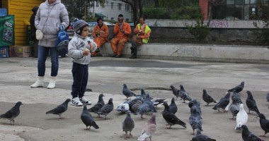 Stire din Social : Cum va fi vremea în următoarele două săptămâni, în Dobrogea
