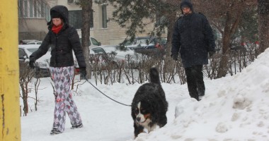 Stire din Social : Cum va fi vremea mâine, la Constanța