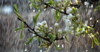 Stire din Social : Meteorologii anunță că vremea se răcește. De când intră în vigoare