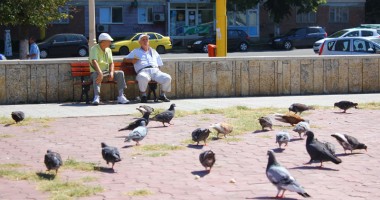 Stire din Social : Vreme în încălzire și mult soare, astăzi, la Constanța