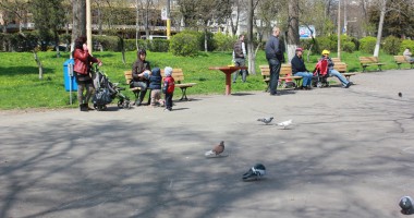 Stire din Social : Cum va fi vremea mâine, la Constanța