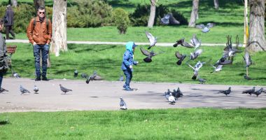 Stire din Social : Vreme schimbătoare, la malul mării