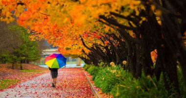 Stire din Diverse : Vreți să vedeți  cum arată  "Toamna în culori"?