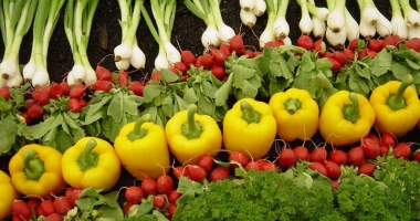 Vreți să învățați cum se face agricultură ecologică?