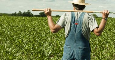 Stire din Economie : Vreți un teren agricol? Iată ce oferte și prețuri sunt în piață!