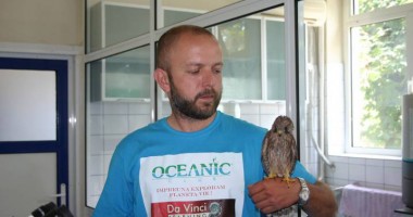 Stire din Social : Echipajul pentru salvarea animalelor sălbatice nu mai intervine