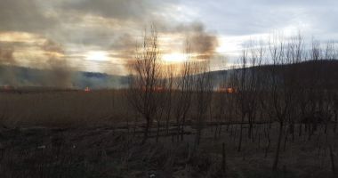 Stire din Eveniment : Weekend de foc, la propriu! 15 incendii, înregistrate la Constanţa