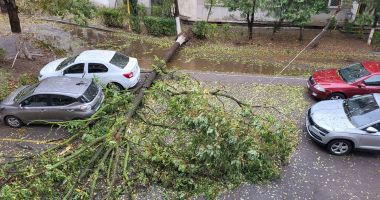Stire din Eveniment : Fără precedent! Furtuna de aseară a dărâmat zeci de copaci