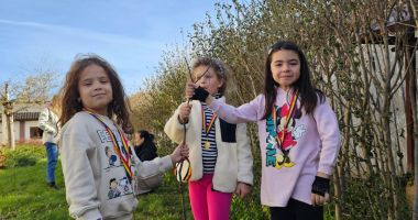 Stire din Cultură-Educație : GALERIE FOTO. Micii școlari de la „Dan Barbilian” au plantat tei în localitatea Murfatlar