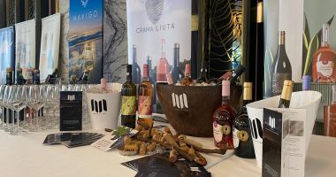 „VIN la mare”, un eveniment ce a reunit specialiști din HoReCa, Turism și Ospitalitate. “Județul Constanța are ce oferi turiștilor” - 4