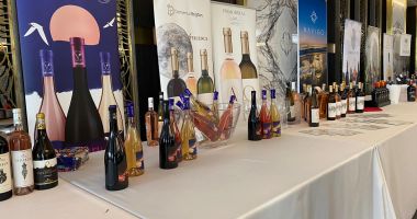 „VIN la mare”, un eveniment ce a reunit specialiști din HoReCa, Turism și Ospitalitate. “Județul Constanța are ce oferi turiștilor” - 5