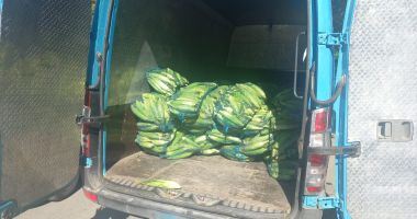 Stire din Eveniment : Vânzătorii ambulanți de pe litoral au fost sancționați. Ce amenzi au primit aceștia