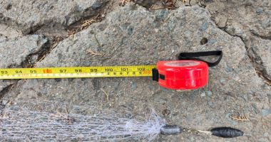Grijă la cum și unde pescuiți! Doi bărbați au fost depistați de jandarmi folosind plase monofilament - 2