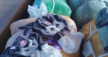 Stire din Eveniment : Iepurașul nu a mai ajuns! Container cu jucării contrafăcute, oprit în Portul Constanța