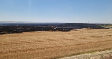 Stire din Eveniment : Incendiu de vegetație uscată, în județul Constanța!