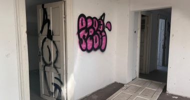 Palatul Reginei Maria din Mamaia, între speranță și ruină. Dați o șansă bijuteriei uitate a Coroanei! - 6