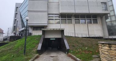 Stire din Eveniment : Pitbull, finul lui Adi Minune, adus în fața magistraților Tribunalului Constanța