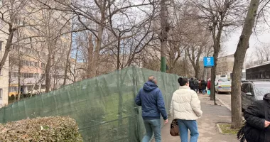 Scandal în zona Abator din Constanța. Localnicii au ieșit în stradă după defrișări - 4