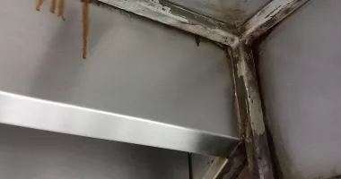 Restaurant din Mangalia, amendat cu 15.000 de lei de CJPC Constanța. Nereguli grave descoperite la control - 4