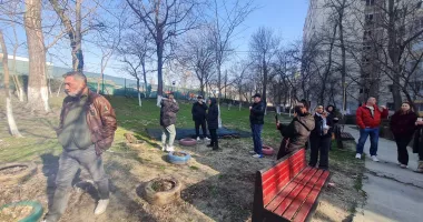 Tensiuni la cote maxime! Locuitorii din zona Abator s-au pus în fața drujbelor pentru a salva copacii - 3