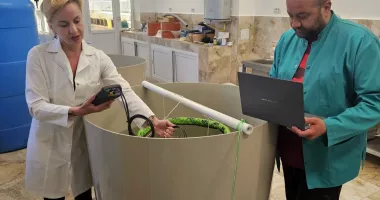 Stire din Social : Creveți crescuți în laborator, la Marea Neagră. Proiect românesc pentru hrană sănătoasă și sustenabilă