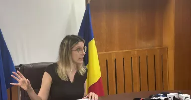 Diana Buzoianu dezminte zvonurile: „Nu se face închisoare pentru o fântână în curte”