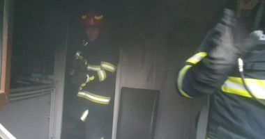 Cățeluș, salvat dintr-un apartament în flăcări, la Medgidia - 3