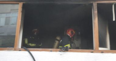 Cățeluș, salvat dintr-un apartament în flăcări, la Medgidia - 2