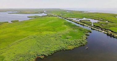 Deputatul Bogdan Bola: “Am solicitat raport de activitate al instituţiilor de control în Rezervaţia Biosfera Delta Dunării”