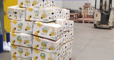 Stire din Eveniment : Jumătate de tonă de COCAINĂ, găsită în baxuri de banane. Au ajuns în țară prin portul Constanța?