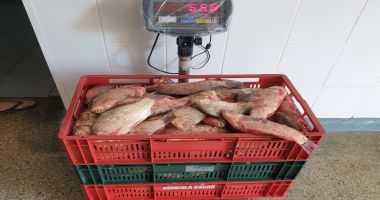 Braconaj piscicol în zona Rezervației Biosferei Delta Dunării - 2