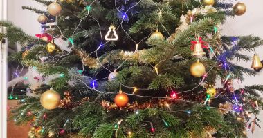 Stire din Cultură-Educație : Colinde, brad, vâsc, obiceiuri românești