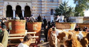 GALERIE FOTO / Mii de persoane, prezente la slujba de Bobotează. Alai cu butoaiele trase de cai și boi - 3