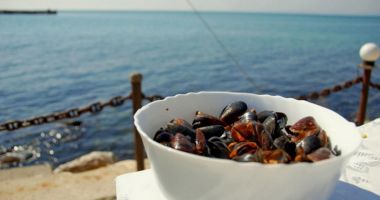 Stire din Social : Transport de rapane oprit la Negru Vodă. Sute de kilograme returnate în mare