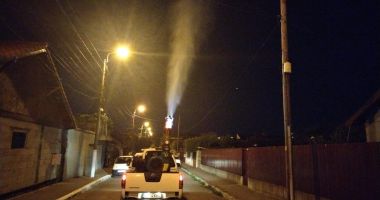 Stire din Social : Noi acțiuni de dezinsecție și deratizare în municipiul Constanța și stațiunea Mamaia