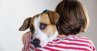 Stire din Social : Vreţi să adoptaţi un câine? De ce acte aveți nevoie