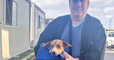 Stire din Social : Ruby a plecat acasă, dar zeci de alţi căței aşteaptă să îşi găsească o familie