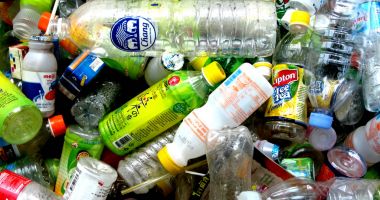 Stire din Social : Peste jumătate din ambalaje ajung la groapa de gunoi sau în natură