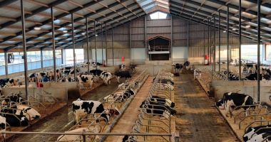 Stire din Social : Biosecuritatea în fermele de animale, în atenţia specialiştilor