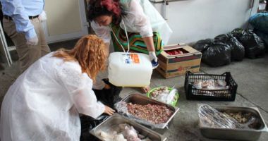 Stire din Social : Aproape trei tone de alimente au fost retrase de pe piaţă, de pe litoral, în această vară